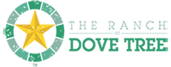 RDT logo